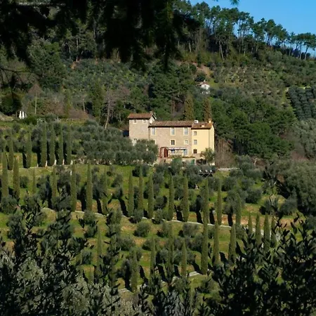 Frantoio Del Bartolomei * Capannori