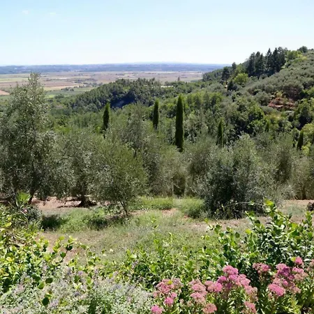 Frantoio Del Bartolomei
